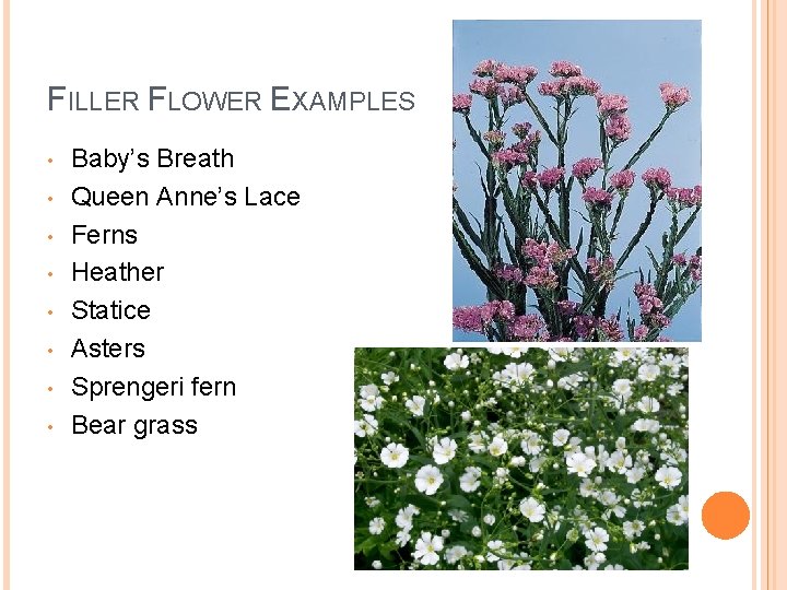 FILLER FLOWER EXAMPLES • • Baby’s Breath Queen Anne’s Lace Ferns Heather Statice Asters