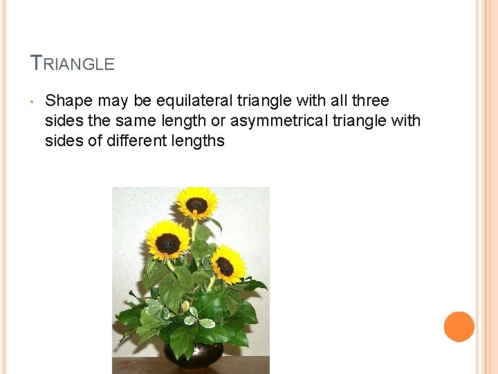 TRIANGLE • Shape may be equilateral triangle with all three sides the same length