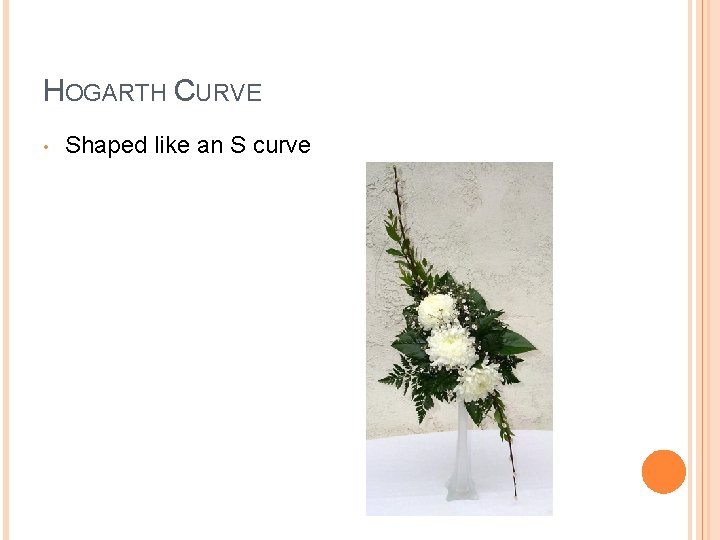 HOGARTH CURVE • Shaped like an S curve 