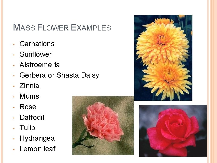 MASS FLOWER EXAMPLES • • • Carnations Sunflower Alstroemeria Gerbera or Shasta Daisy Zinnia