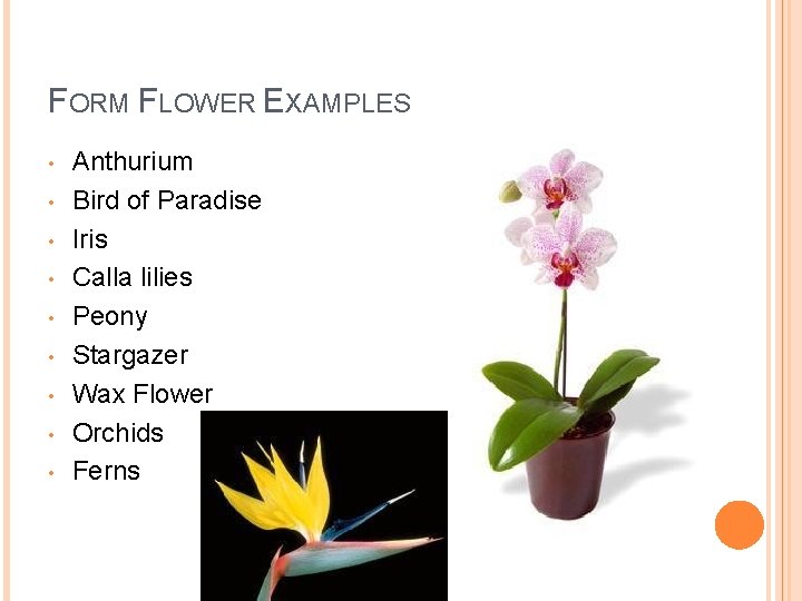 FORM FLOWER EXAMPLES • • • Anthurium Bird of Paradise Iris Calla lilies Peony