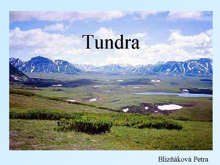 Tundra Blizňáková Petra 