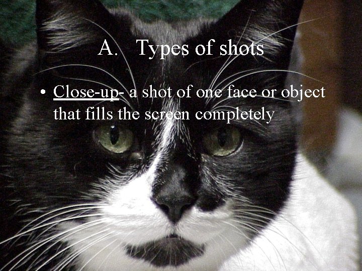 A. Types of shots • Close-up- a shot of one face or object that