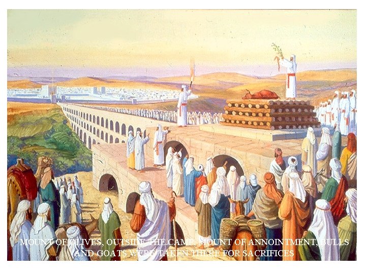 MOUNT OF OLIVES, OUTSIDE THE CAMP, MOUNT OF ANNOINTMENT, BULLS AND GOATS WERE TAKEN