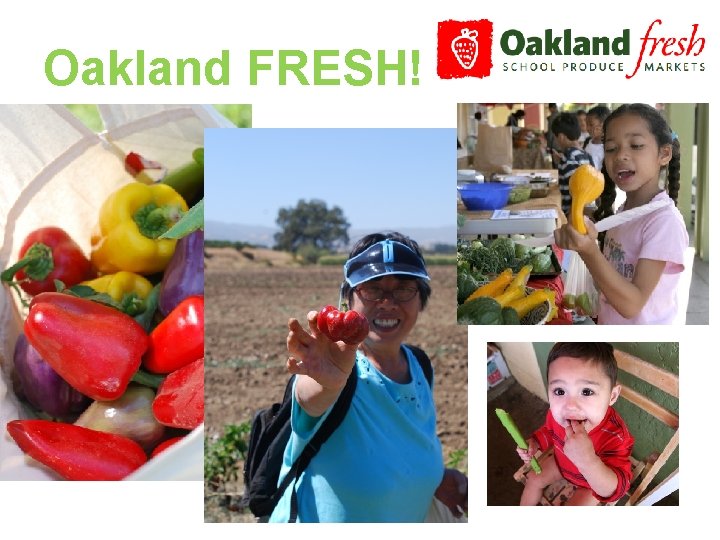 Oakland FRESH! 