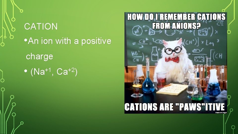 CATION • An ion with a positive charge • (Na+1, Ca+2) 