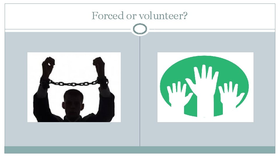 Forced or volunteer? 