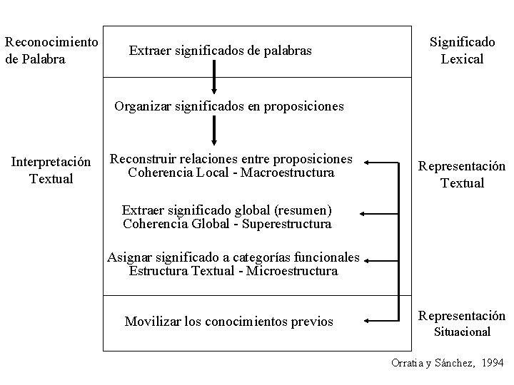 Reconocimiento de Palabra Extraer significados de palabras Significado Lexical Organizar significados en proposiciones Interpretación Reconocimiento de Palabra Extraer significados de palabras Significado Lexical Organizar significados en proposiciones Interpretación