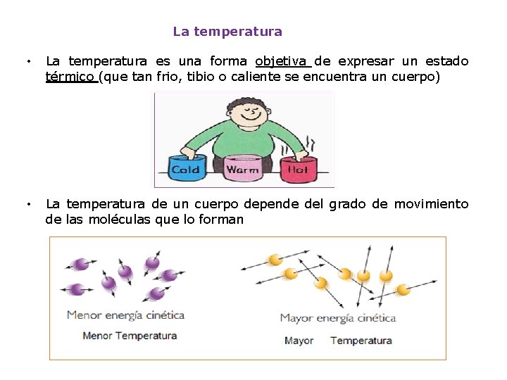 La temperatura • La temperatura es una forma objetiva de expresar un estado térmico