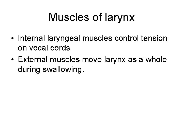 Muscles of larynx • Internal laryngeal muscles control tension on vocal cords • External