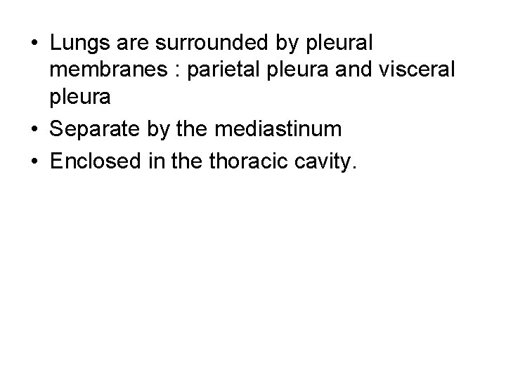  • Lungs are surrounded by pleural membranes : parietal pleura and visceral pleura