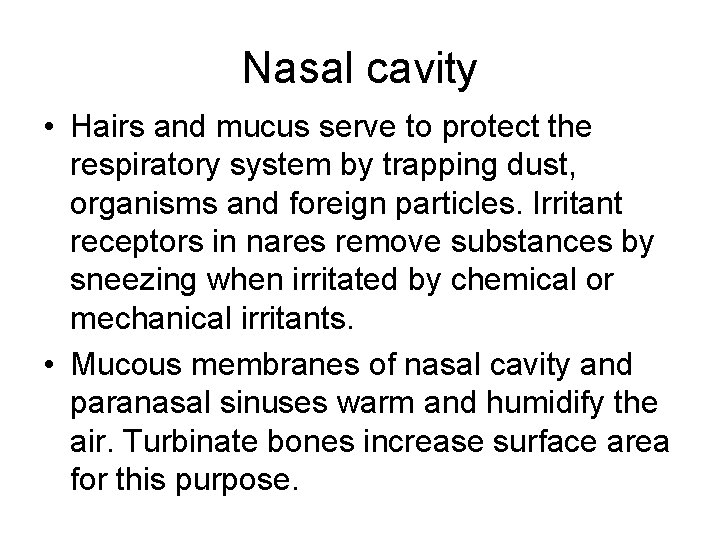 Nasal cavity • Hairs and mucus serve to protect the respiratory system by trapping