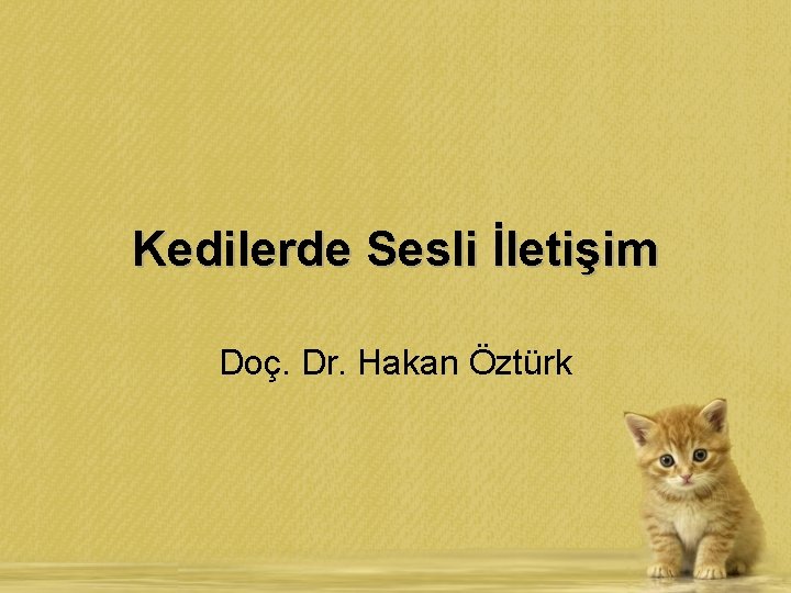 Kedilerde Sesli İletişim Doç. Dr. Hakan Öztürk 