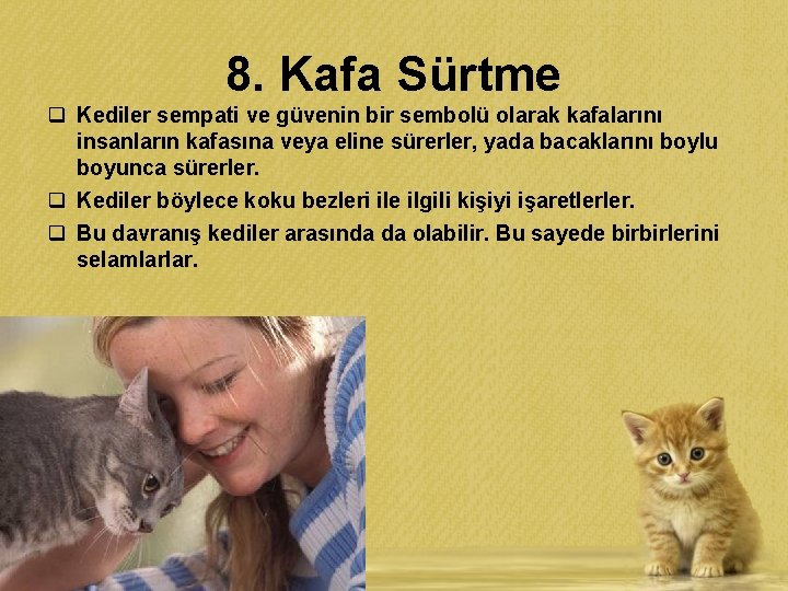 8. Kafa Sürtme q Kediler sempati ve güvenin bir sembolü olarak kafalarını insanların kafasına