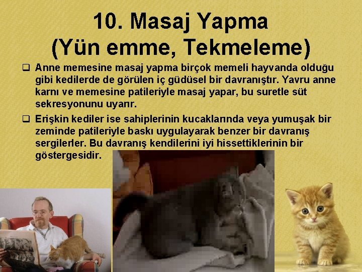 10. Masaj Yapma (Yün emme, Tekmeleme) q Anne memesine masaj yapma birçok memeli hayvanda