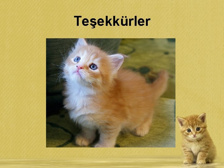 Teşekkürler 