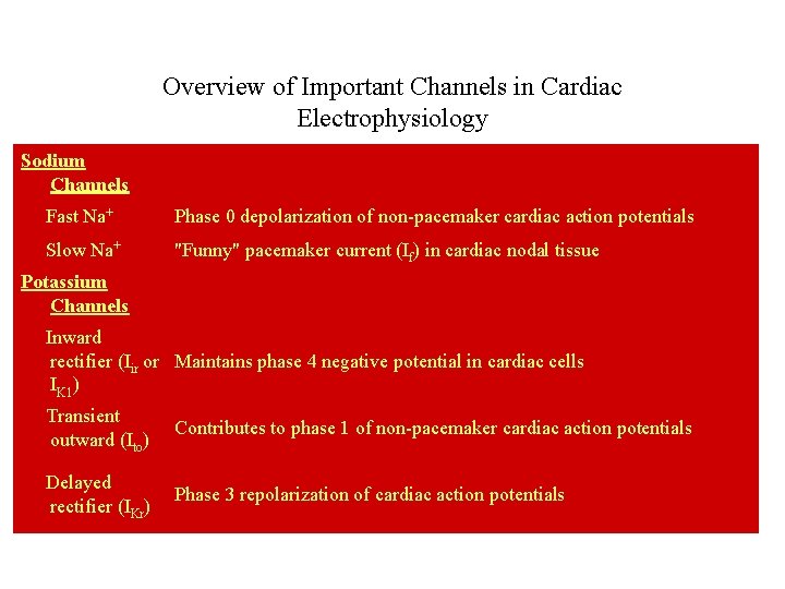 Overview of Important Channels in Cardiac Electrophysiology Sodium Channels Fast Na+ Phase 0 depolarization