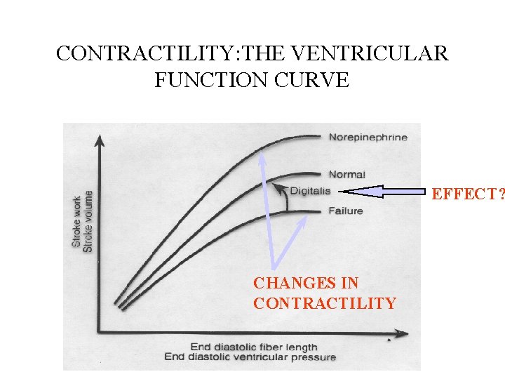 CONTRACTILITY: THE VENTRICULAR FUNCTION CURVE EFFECT? CHANGES IN CONTRACTILITY 