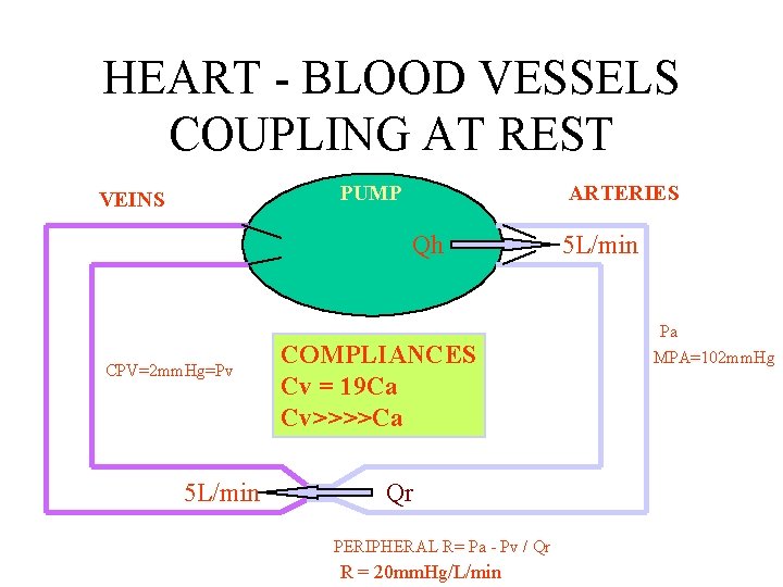 HEART - BLOOD VESSELS COUPLING AT REST PUMP VEINS ARTERIES Qh CPV=2 mm. Hg=Pv