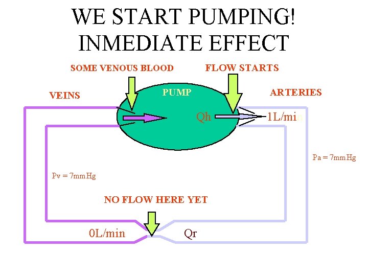 WE START PUMPING! INMEDIATE EFFECT FLOW STARTS SOME VENOUS BLOOD PUMP VEINS ARTERIES Qh