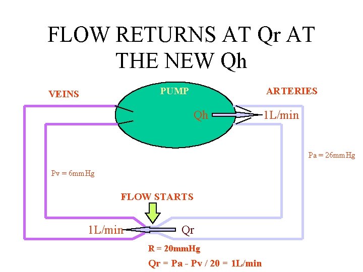 FLOW RETURNS AT Qr AT THE NEW Qh PUMP VEINS ARTERIES Qh 1 L/min