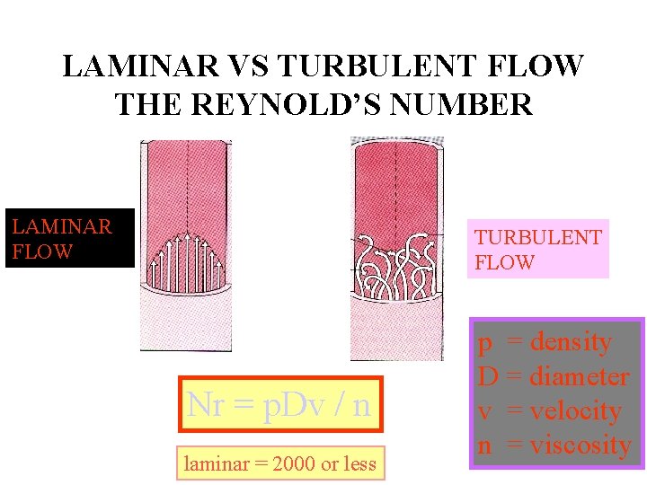 LAMINAR VS TURBULENT FLOW THE REYNOLD’S NUMBER LAMINAR FLOW TURBULENT FLOW Nr = p.