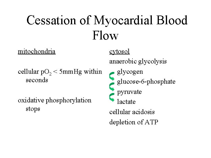  Cessation of Myocardial Blood Flow mitochondria cytosol anaerobic glycolysis cellular p. O 2