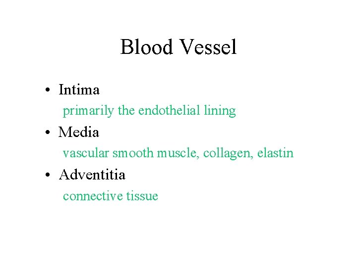 Blood Vessel • Intima primarily the endothelial lining • Media vascular smooth muscle, collagen,