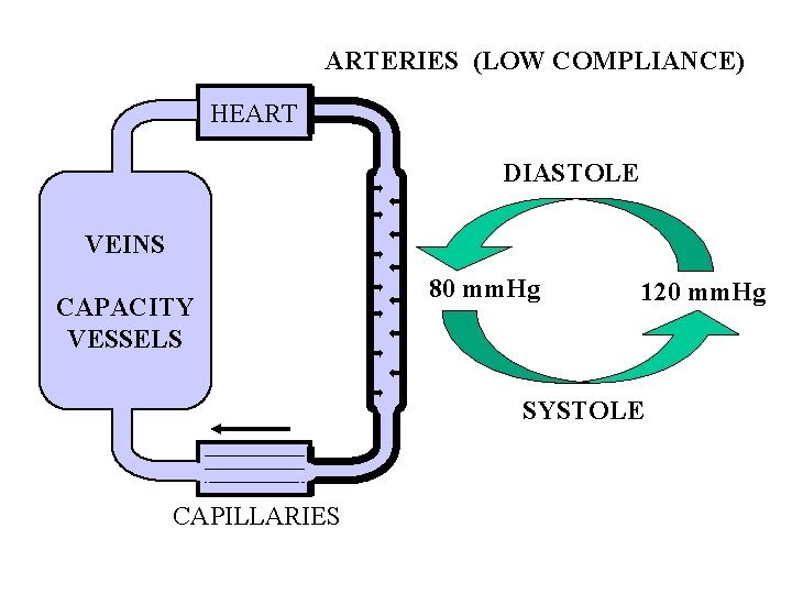 ARTERIES (LOW COMPLIANCE) HEART DIASTOLE VEINS CAPACITY VESSELS 80 mm. Hg 120 mm. Hg