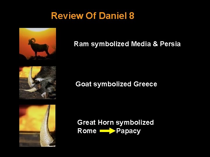 Review Of Daniel 8 Ram symbolized Media & Persia THE RAM THE GOAT 1