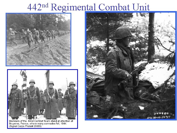 442 nd Regimental Combat Unit 