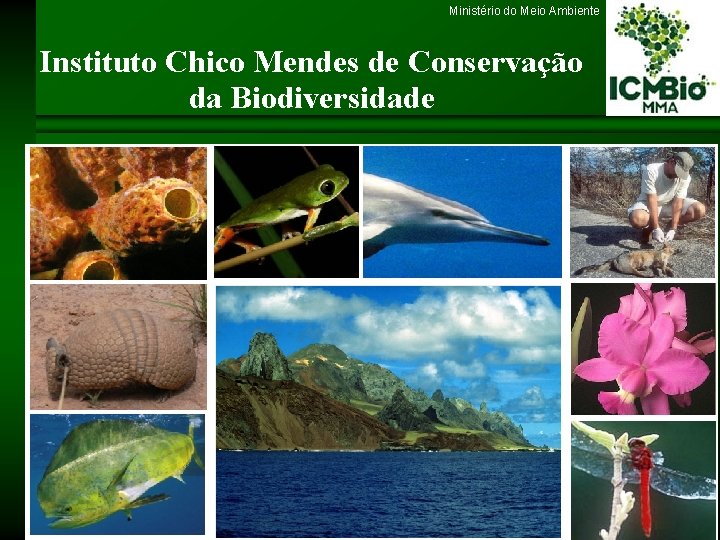 Ministério do Meio Ambiente Instituto Chico Mendes de Conservação da Biodiversidade 