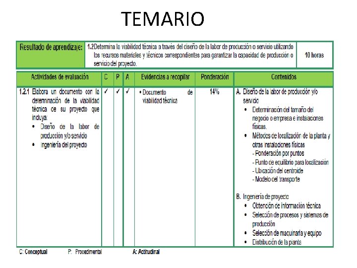 TEMARIO 