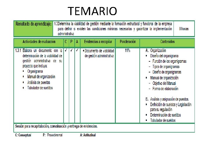 TEMARIO 