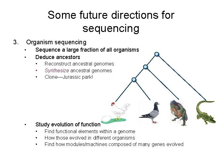 Some future directions for sequencing 3. Organism sequencing • • Sequence a large fraction Some future directions for sequencing 3. Organism sequencing • • Sequence a large fraction