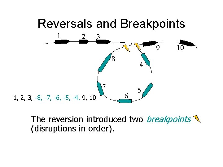 Reversals and Breakpoints 1 2 3 9 8 4 7 1, 2, 3, -8, Reversals and Breakpoints 1 2 3 9 8 4 7 1, 2, 3, -8,