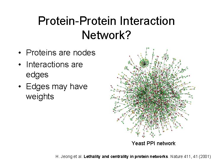 Protein-Protein Interaction Network? • Proteins are nodes • Interactions are edges • Edges may Protein-Protein Interaction Network? • Proteins are nodes • Interactions are edges • Edges may