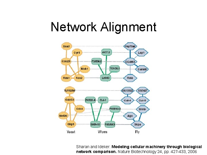 Network Alignment Sharan and Ideker. Modeling cellular machinery through biological network comparison. Nature Biotechnology Network Alignment Sharan and Ideker. Modeling cellular machinery through biological network comparison. Nature Biotechnology