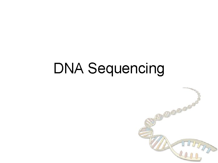 DNA Sequencing DNA Sequencing