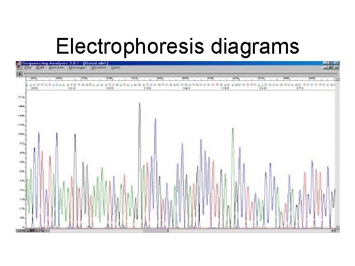 Electrophoresis diagrams Electrophoresis diagrams