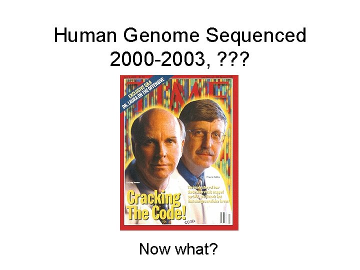 Human Genome Sequenced 2000 -2003, ? ? ? Now what? Human Genome Sequenced 2000 -2003, ? ? ? Now what?