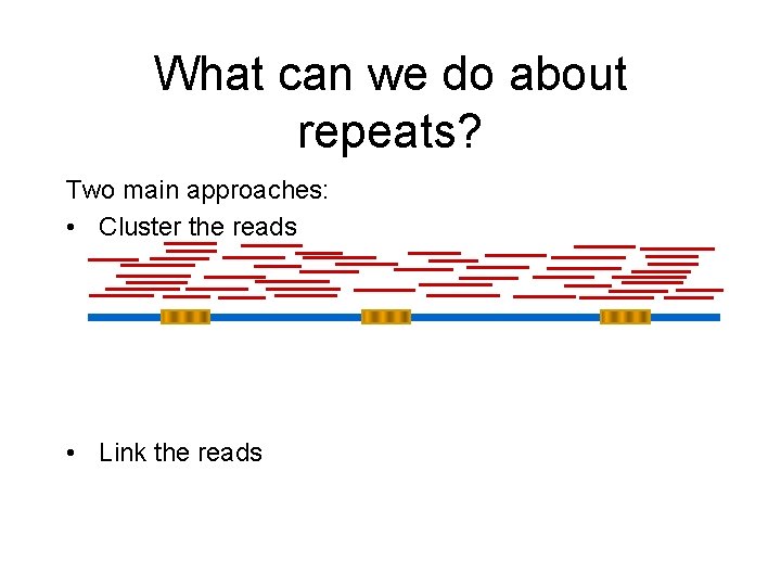 What can we do about repeats? Two main approaches: • Cluster the reads • What can we do about repeats? Two main approaches: • Cluster the reads •