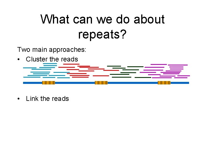 What can we do about repeats? Two main approaches: • Cluster the reads • What can we do about repeats? Two main approaches: • Cluster the reads •