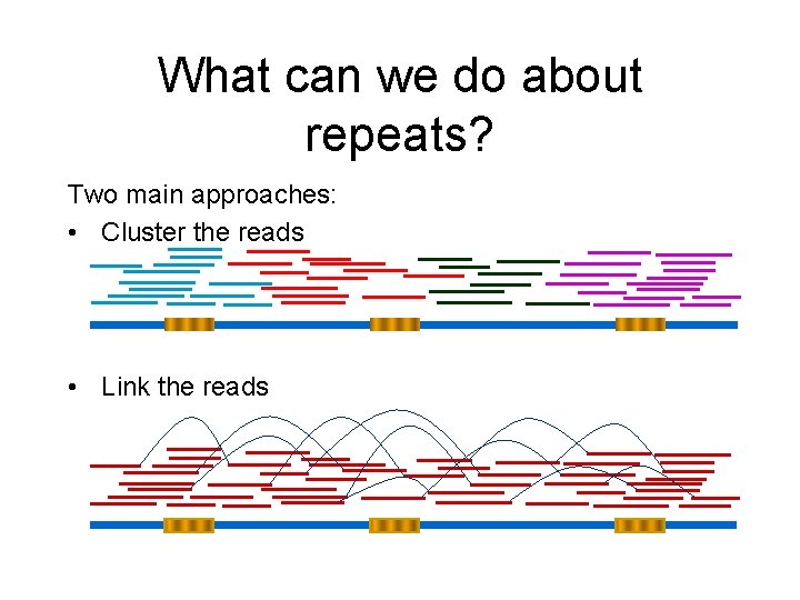 What can we do about repeats? Two main approaches: • Cluster the reads • What can we do about repeats? Two main approaches: • Cluster the reads •