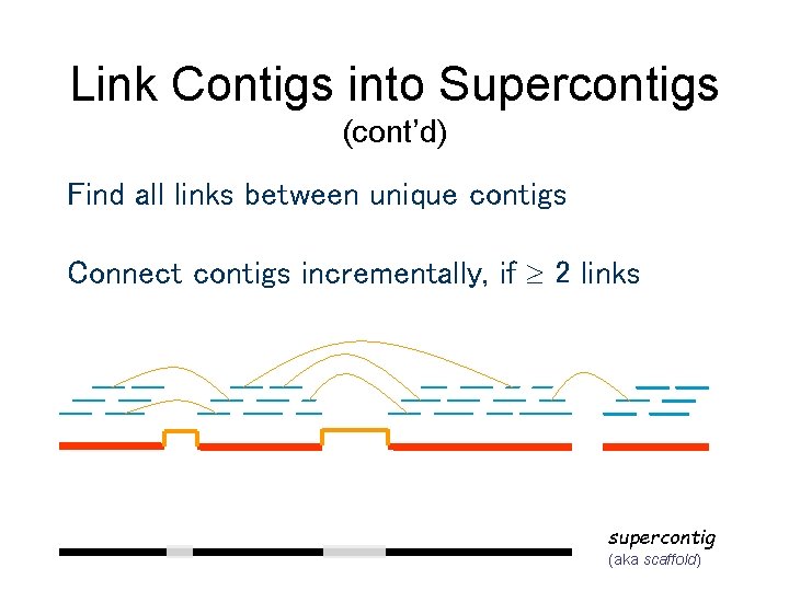 Link Contigs into Supercontigs (cont’d) Find all links between unique contigs Connect contigs incrementally, Link Contigs into Supercontigs (cont’d) Find all links between unique contigs Connect contigs incrementally,