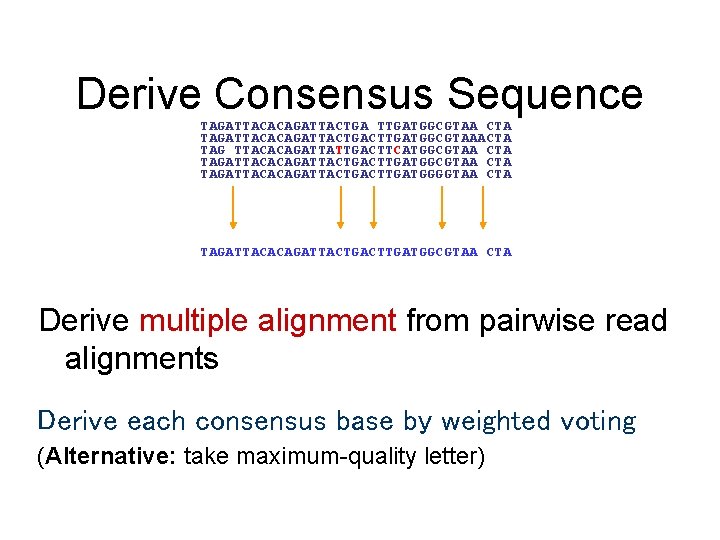 Derive Consensus Sequence TAGATTACACAGATTACTGA TTGATGGCGTAA CTA TAGATTACACAGATTACTGACTTGATGGCGTAAACTA TAG TTACACAGATTATTGACTTCATGGCGTAA CTA TAGATTACACAGATTACTGACTTGATGGGGTAA CTA TAGATTACACAGATTACTGACTTGATGGCGTAA CTA Derive Consensus Sequence TAGATTACACAGATTACTGA TTGATGGCGTAA CTA TAGATTACACAGATTACTGACTTGATGGCGTAAACTA TAG TTACACAGATTATTGACTTCATGGCGTAA CTA TAGATTACACAGATTACTGACTTGATGGGGTAA CTA TAGATTACACAGATTACTGACTTGATGGCGTAA CTA
