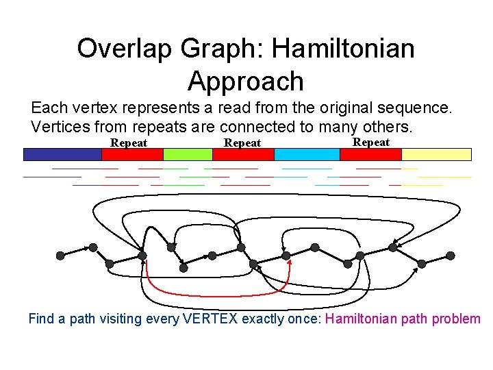 Overlap Graph: Hamiltonian Approach Each vertex represents a read from the original sequence. Vertices Overlap Graph: Hamiltonian Approach Each vertex represents a read from the original sequence. Vertices
