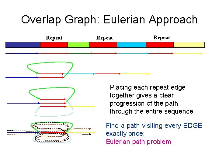 Overlap Graph: Eulerian Approach Repeat Placing each repeat edge together gives a clear progression Overlap Graph: Eulerian Approach Repeat Placing each repeat edge together gives a clear progression