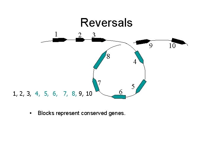 Reversals 1 2 3 9 8 4 7 1, 2, 3, 4, 5, 6, Reversals 1 2 3 9 8 4 7 1, 2, 3, 4, 5, 6,