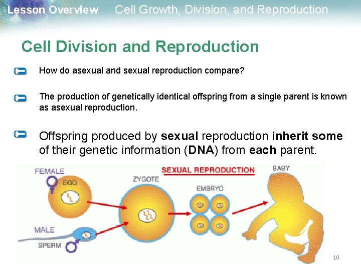 Lesson Overview Cell Growth, Division, and Reproduction Cell Division and Reproduction How do asexual